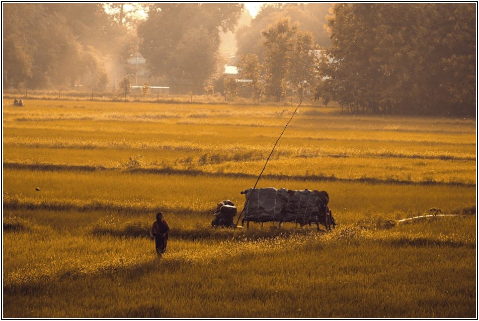 HAY 조명, 디자인과 실용성을 모두 잡는 법