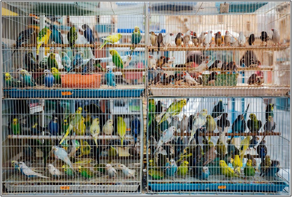 무역영어, 핵심 문법 & 필수 어휘 마스터 가이드