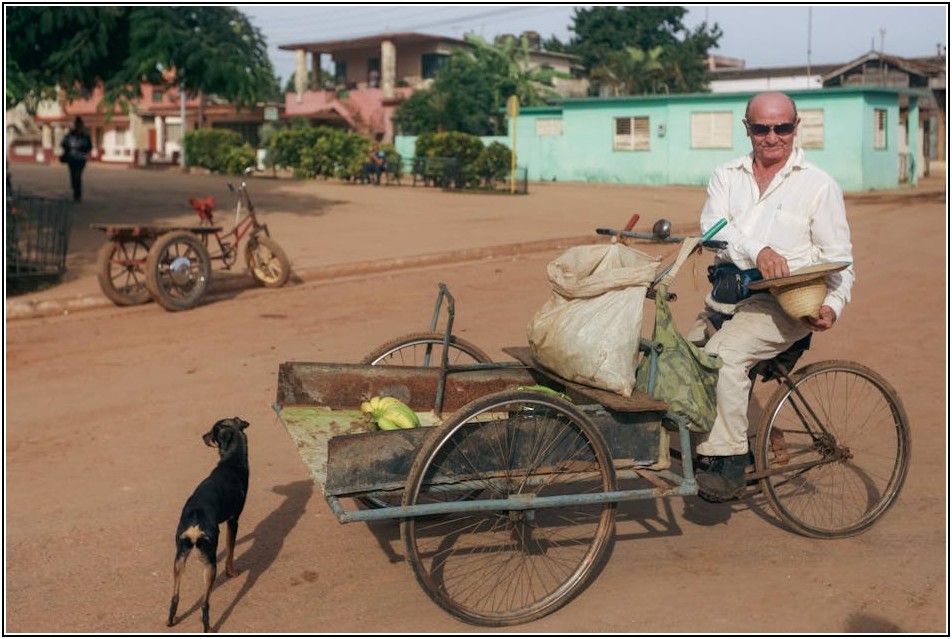 최적의 서빙카트 바퀴, 환경별 맞춤 선택 가이드