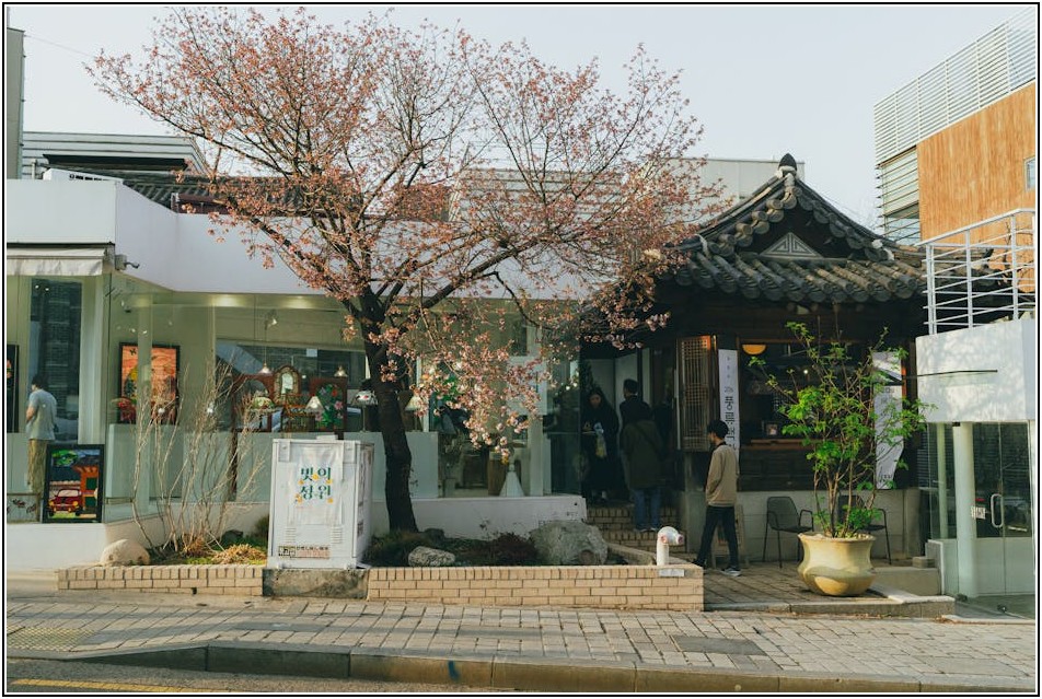 특별한 서울 카페, 당신이 몰랐던 비밀 공간