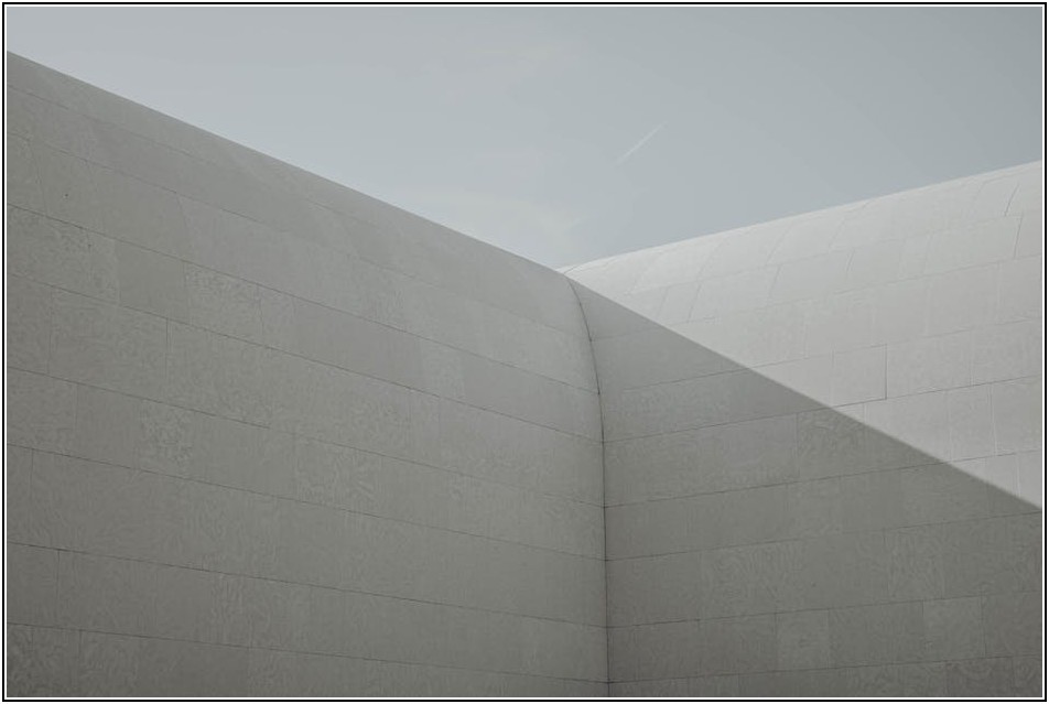 실외기 비둘기 테러, 피해 사례부터 완벽 차단까지