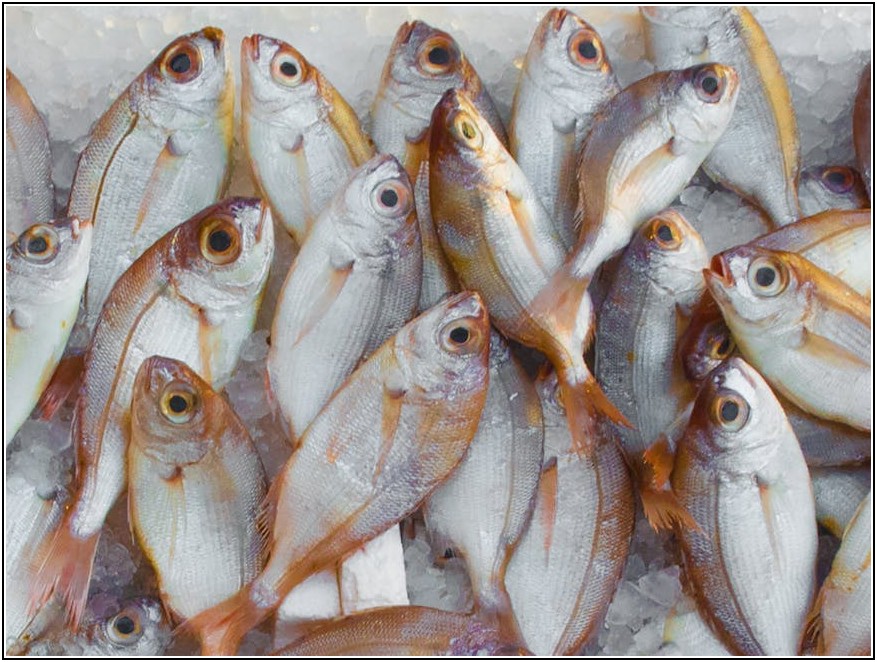 스마트한 주식 거래, 필수 기능 비교로 최적의 앱 찾기