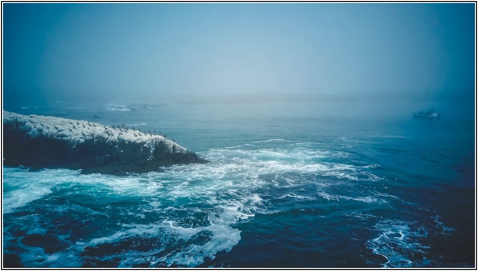 인쇄 전문가처럼! 인도장으로 품질 UP 시키는 팁