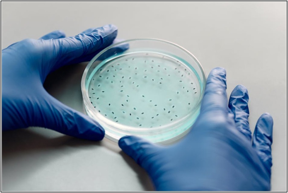 실험 실력 향상의 열쇠, 초자기구 사용법 완전 정복