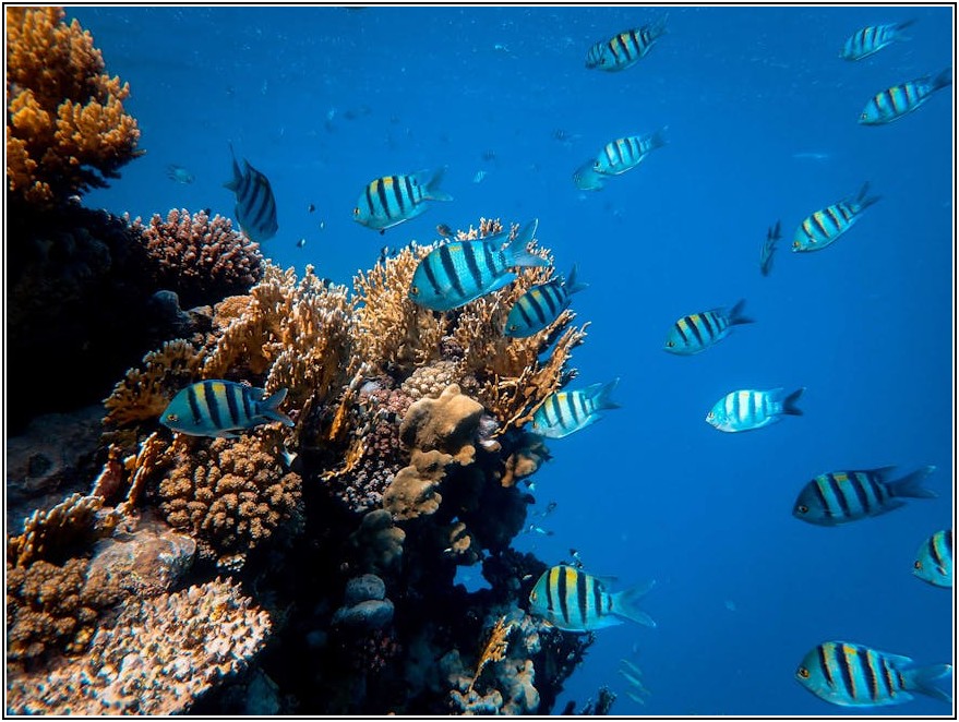 수중모터, 전기 요금 아끼는 핵심 가이드
#