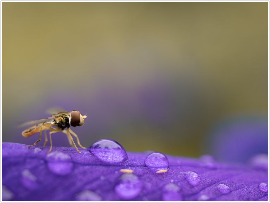 성공적인 마이크로 인플루언서 되기: 팔로워 증대의 지름길