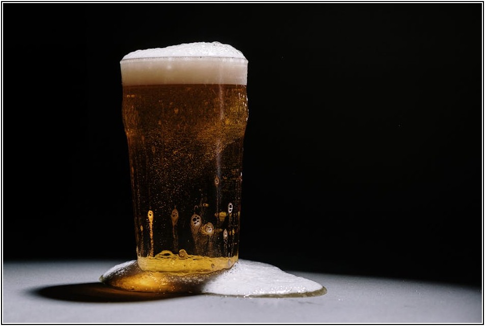 맥주 궁금증 해결! 1900원 맥주부터 고급 맥주까지