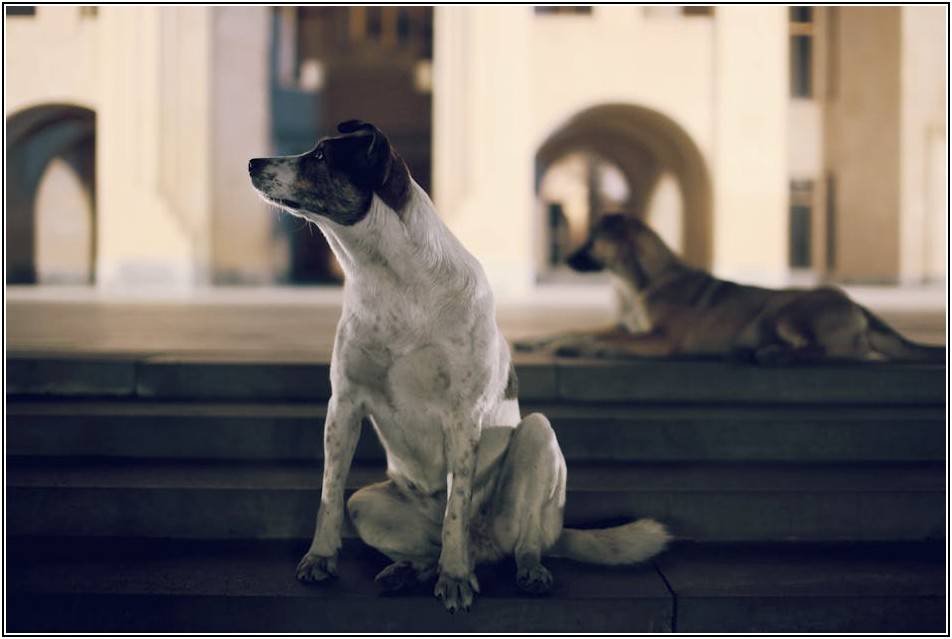 강남 빌딩 투자, 미래 가치를 높이는 입지 분석