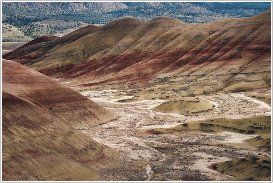 락카 페인트, 전문가처럼 완벽하게 칠하는 비법