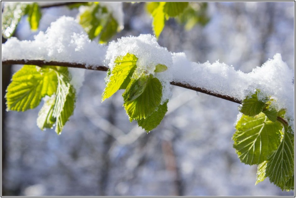 계좌 지급 정지, 압류, 가압류: 당신의 자산을 지키는 법