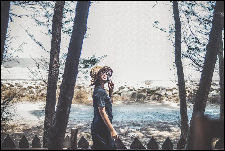 베트남어 번역 가격, 견적 비교로 최적의 선택 찾기