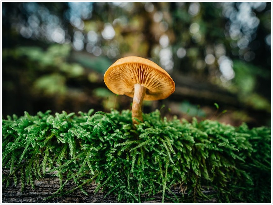 브라켓 시공 완벽 가이드: 실패 없는 설치 노하우