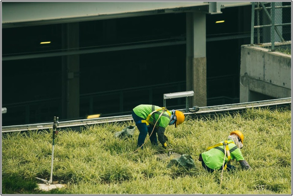 옥상녹화를 통해 얻는 도시의 숨통과 장점