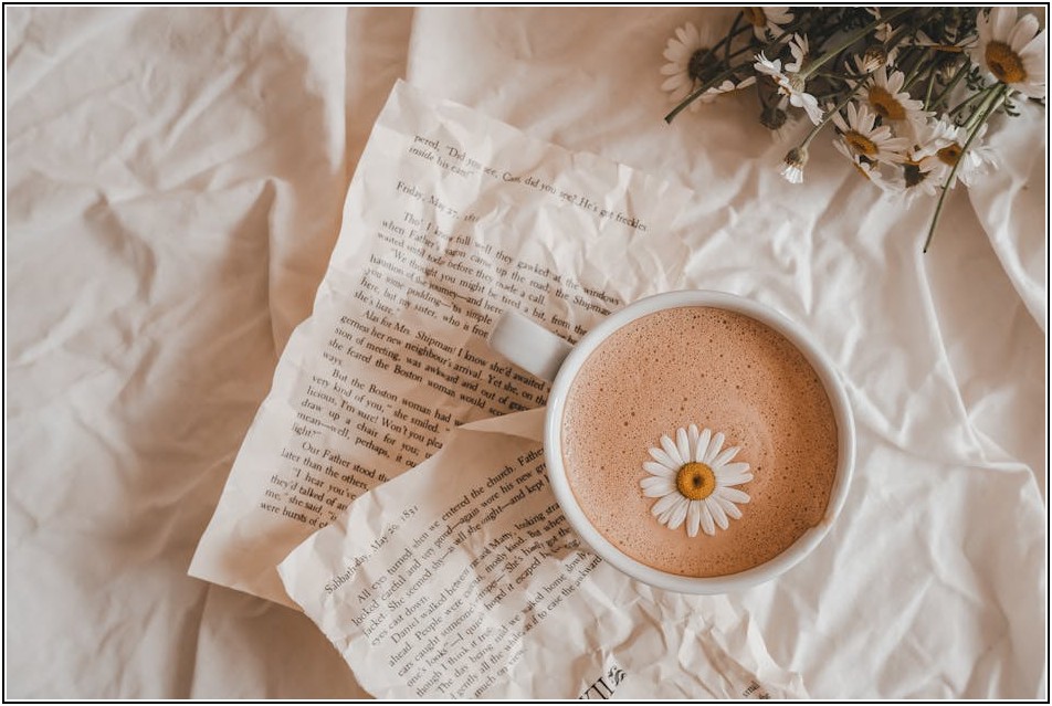 당신의 취향을 저격할 북큐레이션, 지금 바로 만나보세요!