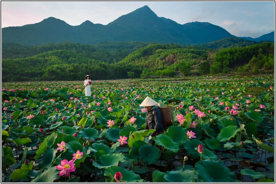 인생 부대찌개, 남기남 스타일 재료 백과사전
