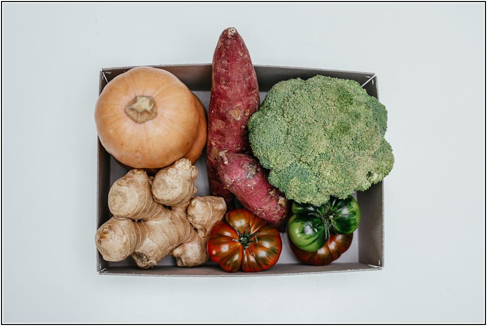 똑똑한 TV 시청, 셋톱박스 기능 비교 완벽 분석