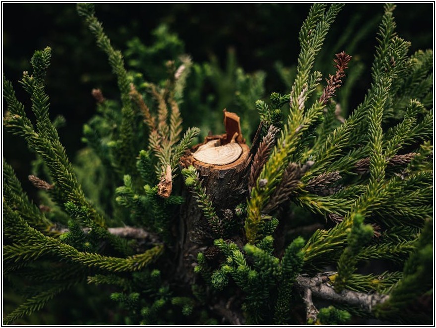 깨끗한 수질, 집수조 관리로 지키세요