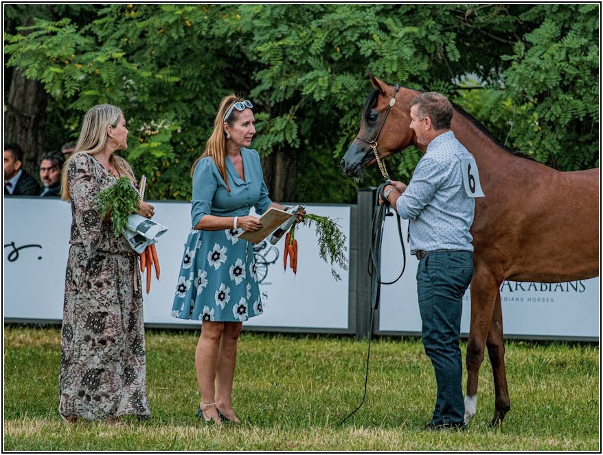 TROPHY9: 축구 세상의 모든 트로피를 담다