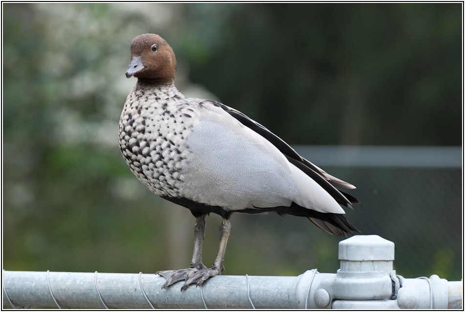 효과적인 오일펜스 활용법과 최신 방제 사례