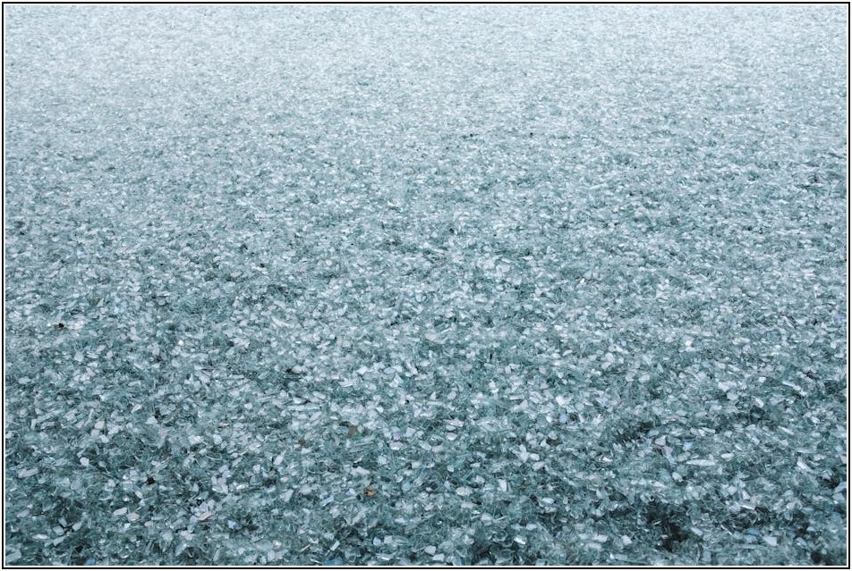 조경 식재 전문가 되기: 성공 사업 운영 가이드