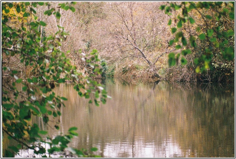 습식데칼, 변색 없이 관리하는 완벽 가이드