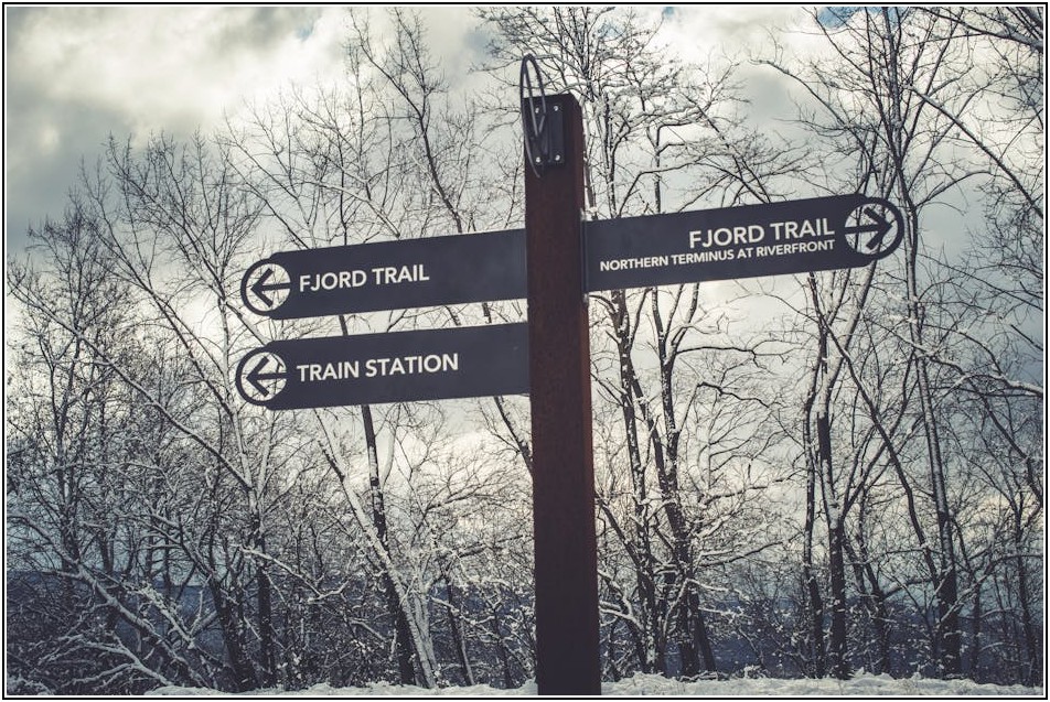 도로 위 길잡이, 지시표지판 핵심 가이드 (초보운전 필독)