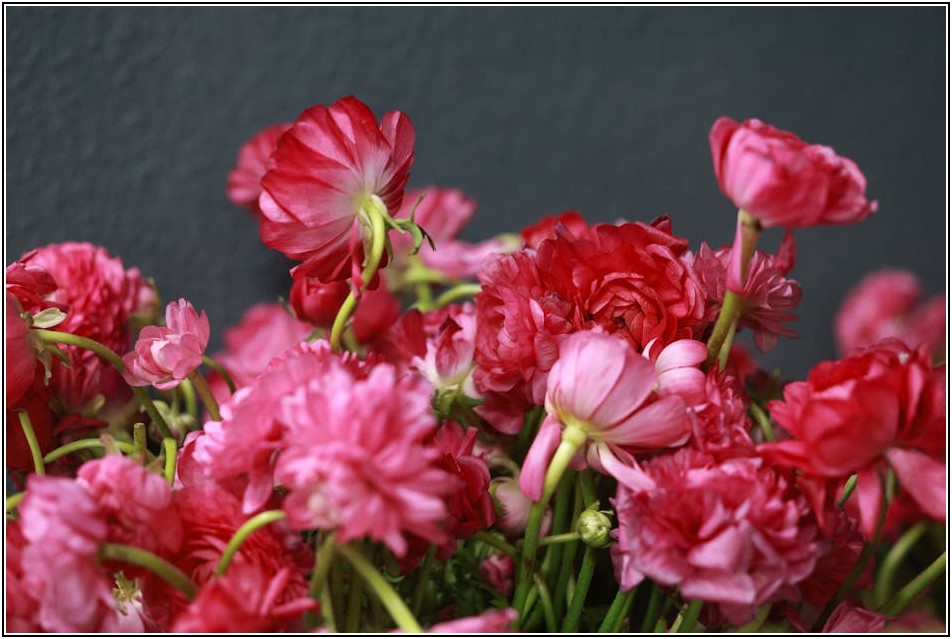 결혼식 사회, 신랑 신부 맞춤 멘트로 감동 더하기