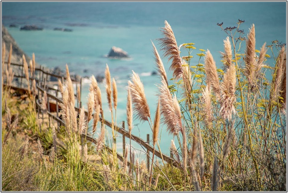 입맛 없을 땐 멍게비빔밥! 맛과 건강을 위한 꿀팁 총정리