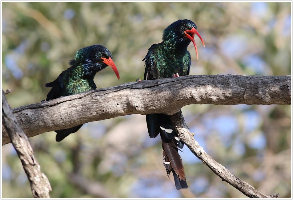 턴버클 설치, 몰라서 놓치는 중요한 꿀팁 대방출