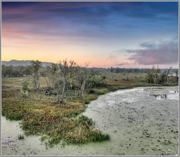 미국 주식 사기 피해, 똑똑하게 예방하는 법