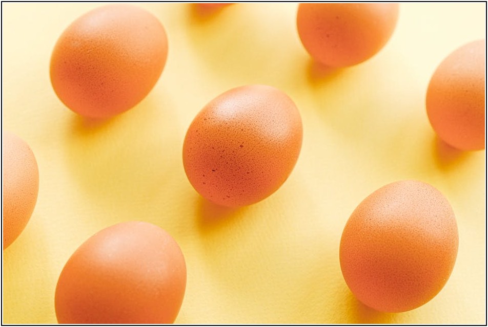 종신보험, 라이나 상품의 숨겨진 장단점 파헤치기