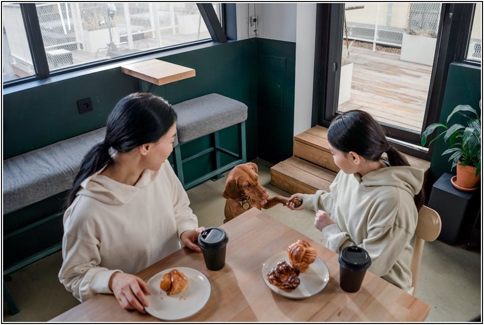 똑똑한 부모 필수! 키즈카페 미끄럼틀 안전 점검법