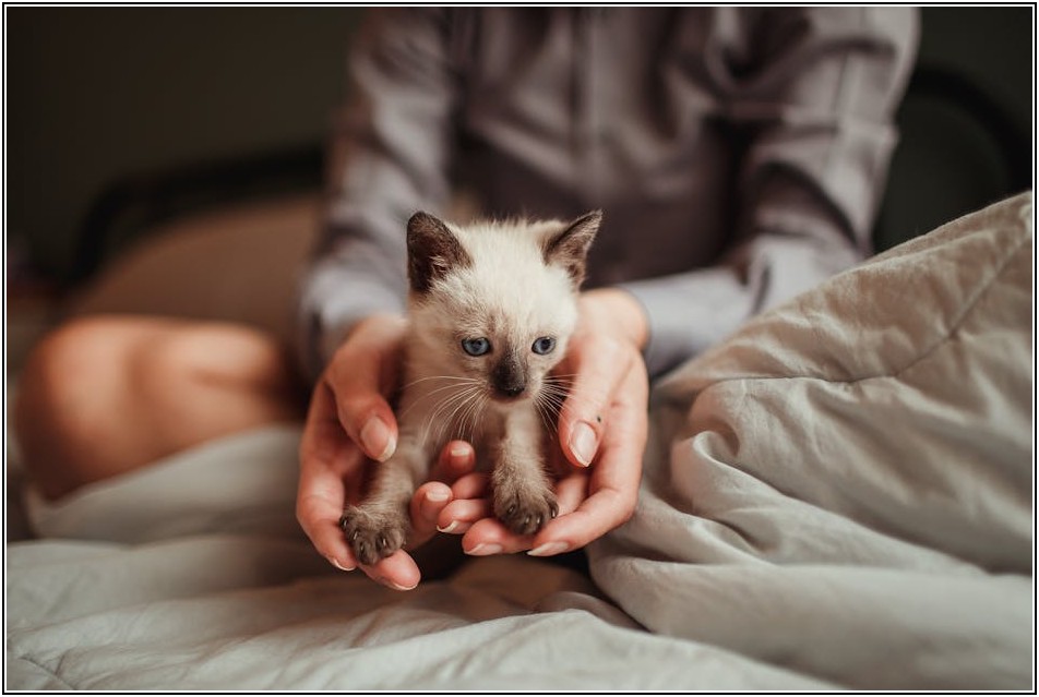 부담 없는 소형 이사, 비용부터 절차까지 꼼꼼하게