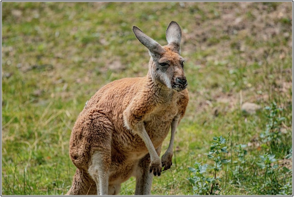 세상에 하나뿐인 나만의 멀티 파우치, DIY로 완성하세요!