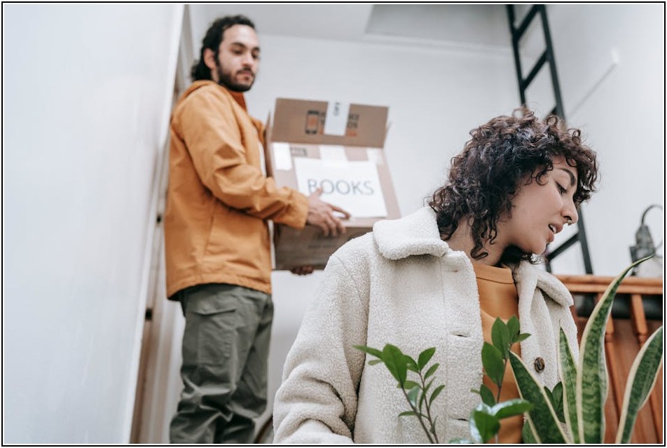 이삿짐 택배 박스, 포장에서 운송까지 완벽 가이드