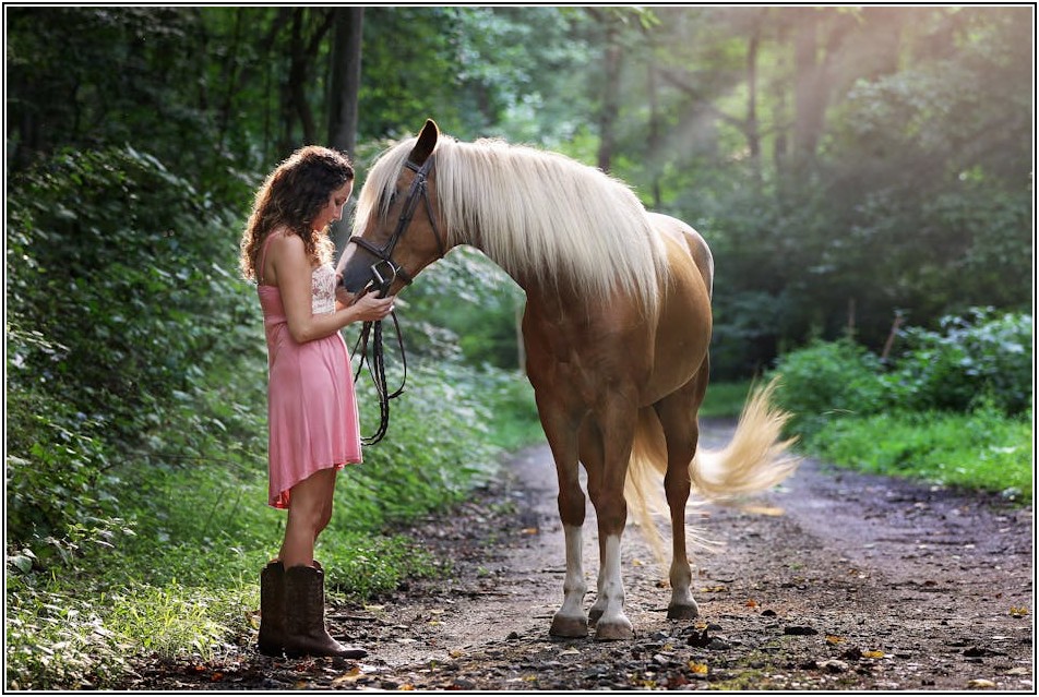 채권형 펀드 완벽 분석: 종류별 특징과 선택 가이드