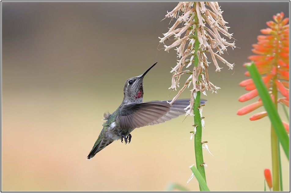 주식 투자, 이것만 알면 전문가! 필수 가이드