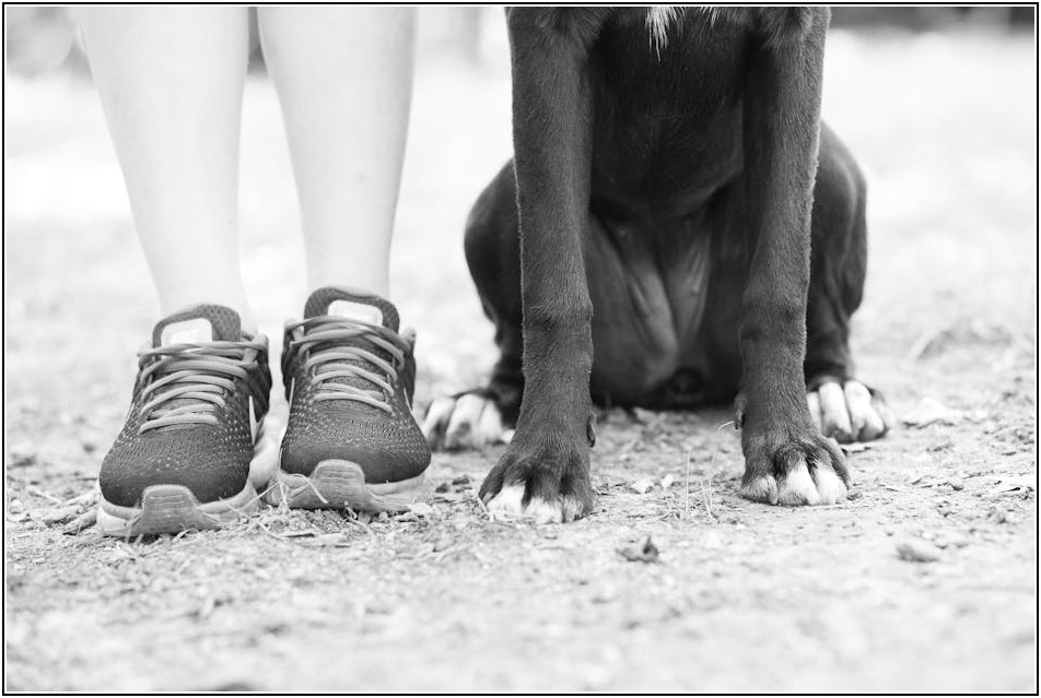 간편인증, 보안성과 편리성을 모두 잡는 방법