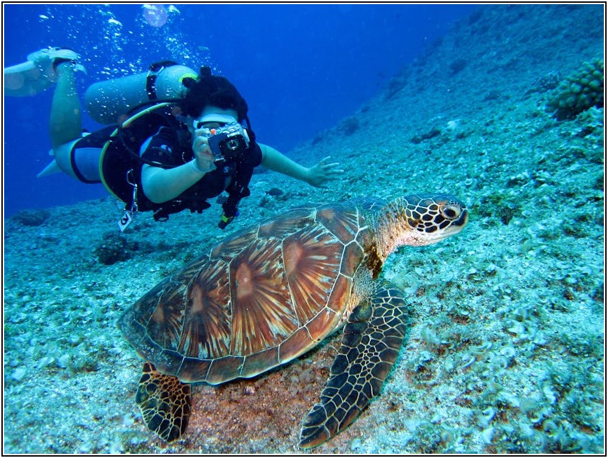 캐논 70D, 촬영 기술 업그레이드 비법 공개