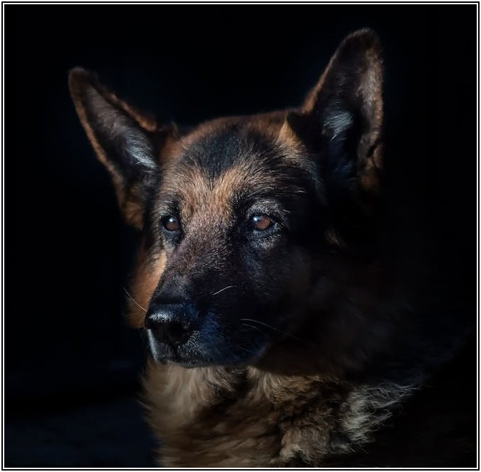 채권 매입 절차: 초보 투자자를 위한 쉬운 가이드