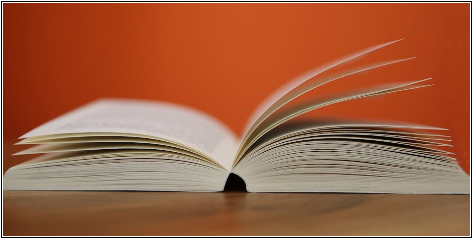 부산 직업학교 완벽 가이드: 국비지원 취업 정보