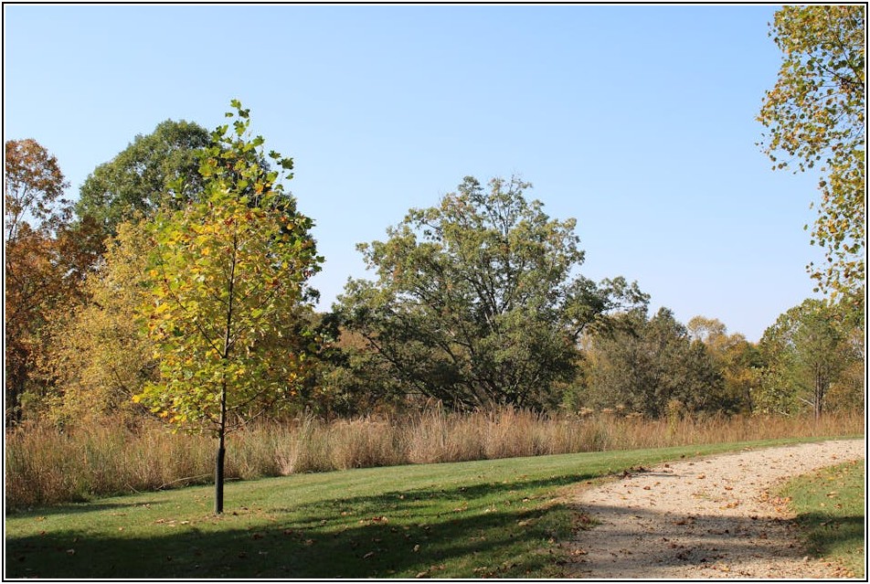 미국 입국 거부, 피할 수 없는 상황에서 소명하는 최선의 방법