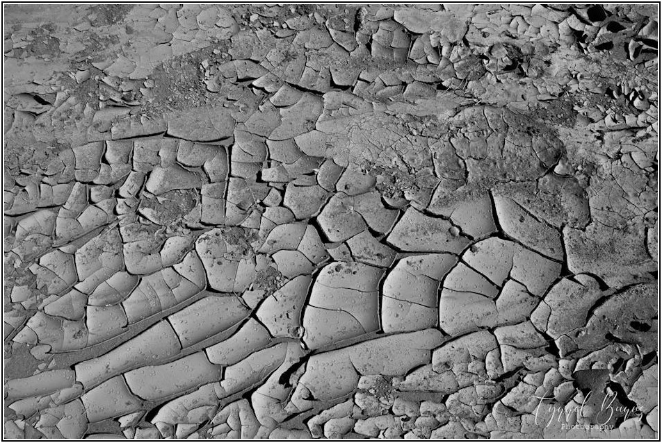 마포 탈수기, 빨래 건조 시간 확 줄이는 비법
