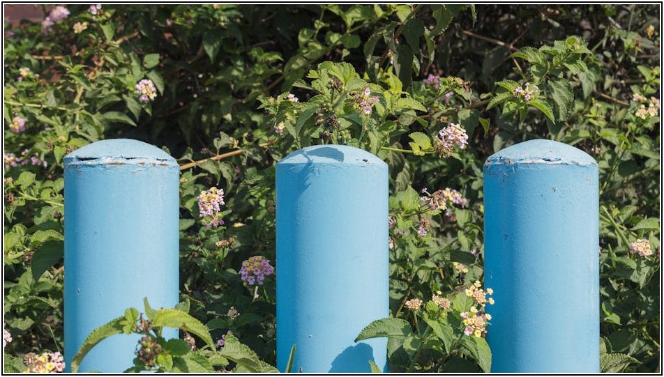안전하고 즐거운 피치파크 여행: 필수 정보 총정리
