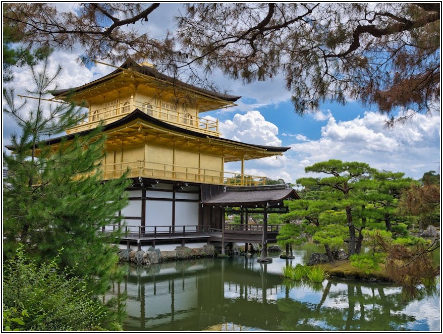 정신 질환 회복 여정: 병동 생활부터 사회 복귀 지원까지