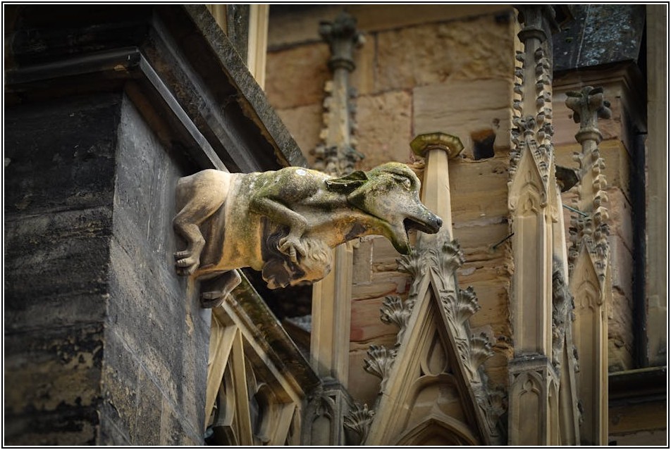 배수로 누수, 예방부터 완벽 관리까지 A to Z