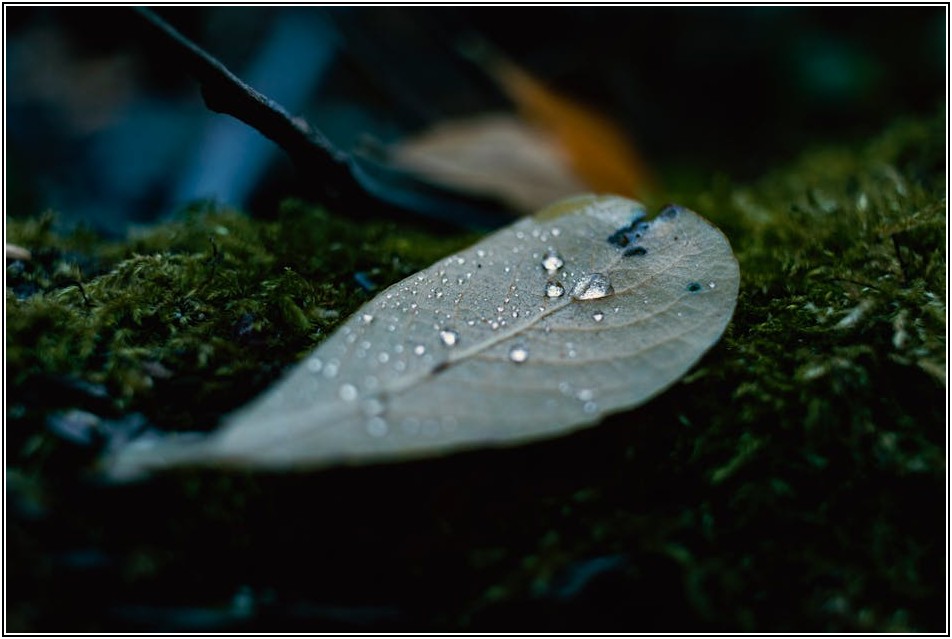 빗물 받이 관리의 중요성, 창문 수명 연장하는 방법