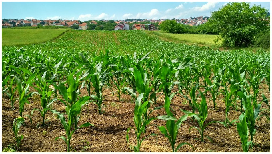 토지 공시지가 변화, 똑똑한 투자 가이드
