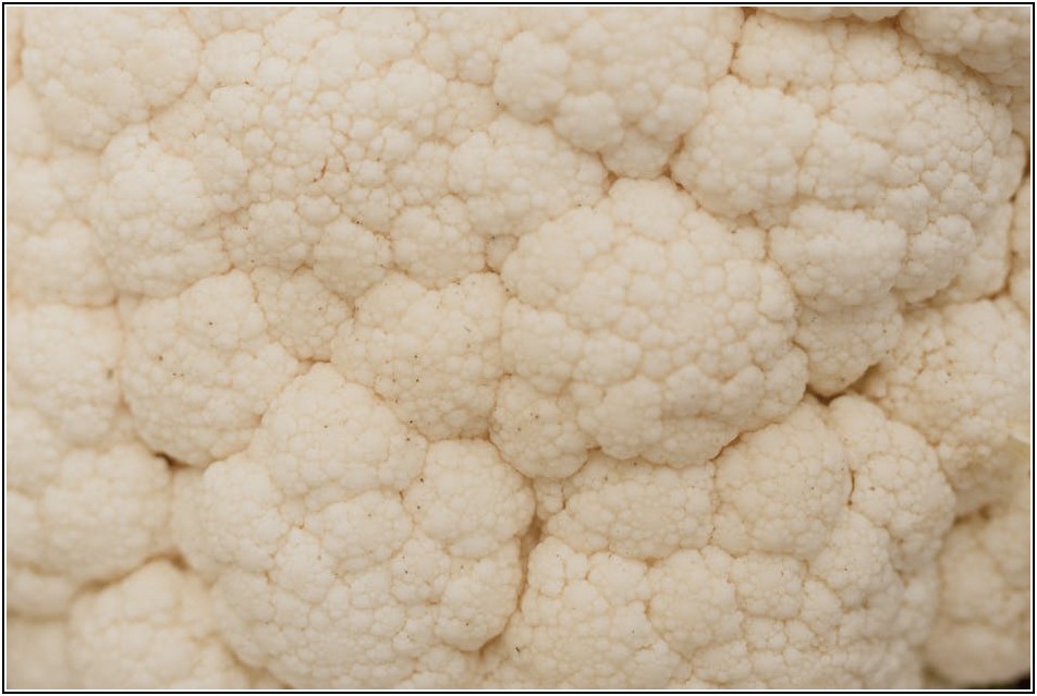 유니버셜 조인트 고장, 직접 해결하는 자가 정비의 시작