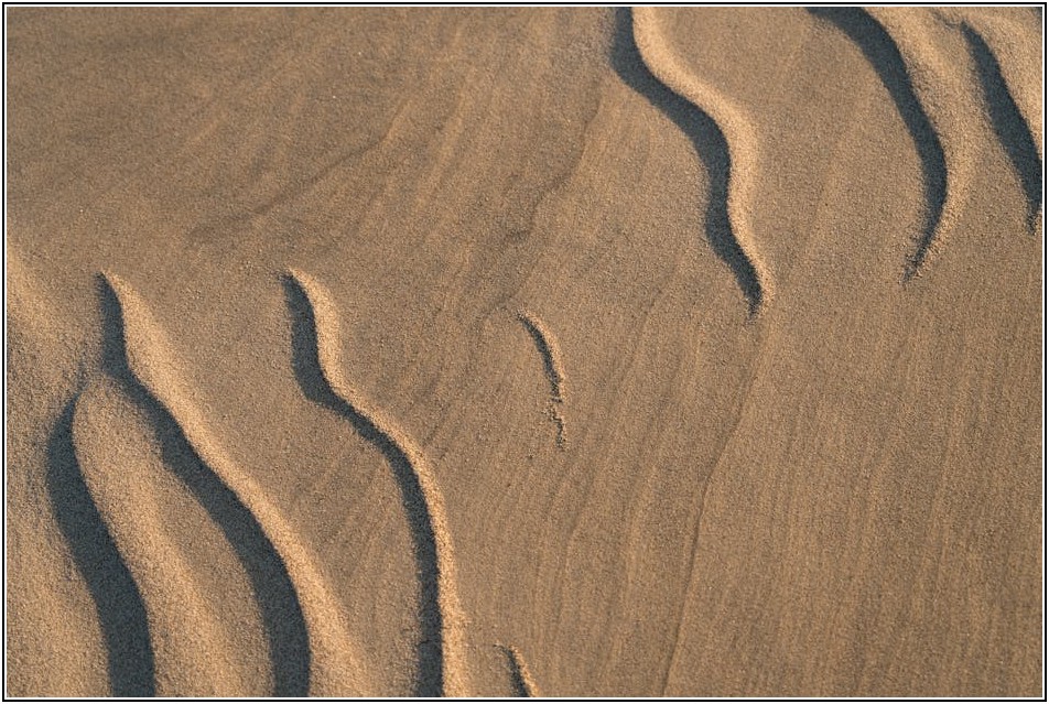 핵심 동의서 작성 가이드: 분쟁 예방의 필수 전략